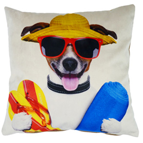 Surf Dogs, Jack - (45cm x 45cm) Cushion
